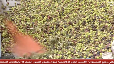 JT Al maghribia 15h du 01/12/2025