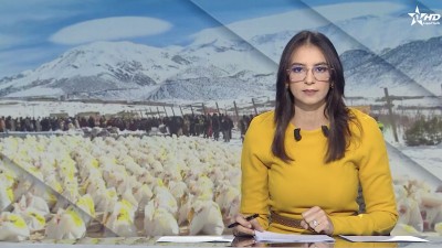 الأخبار الظهيرة الأولى 20/12/2025