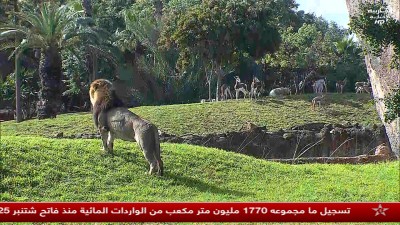 JT Al maghribia 15h du 30/12/2025