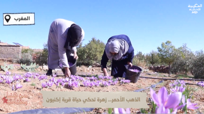 Min Hona wa Honak : Ep 28 - Min Hona wa Honak