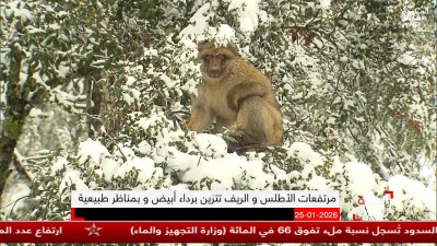 AL SOURA TATAHADAT : EP 40 - AL SOURA TATAHADAT