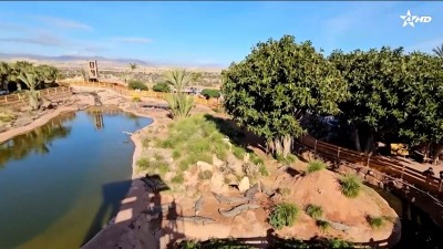 Episode 04 - CAN Culture