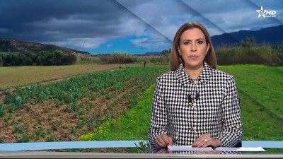 الأخبار الظهيرة الأولى 08/01/2026