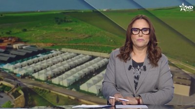 الأخبار الأمازيغية الأولى 03/02/2026