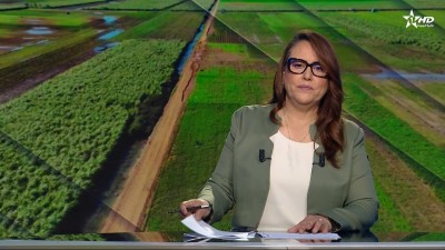 الأخبار الأمازيغية الأولى 24/03/2026