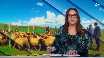 الأخبار الأمازيغية الأولى 26/03/2026