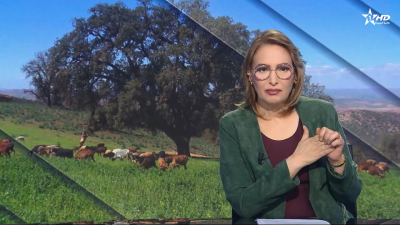 الأخبار الأمازيغية الأولى 28/03/2026