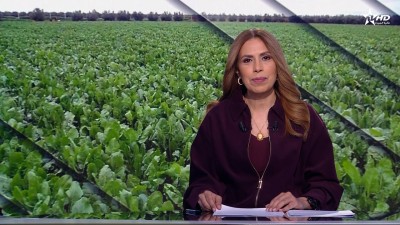 الأخبار الظهيرة الأولى 11/03/2026