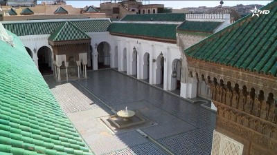  - Ecologica Ep 13 - Ecologica