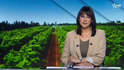 الأخبار الرئيسية الأولى 29/03/2026