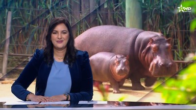 Telediario Al Aoula du 24/03/2026