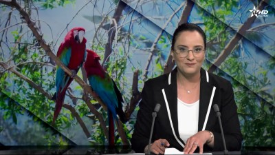 JT en Français Al Aoula du 18/04/2026