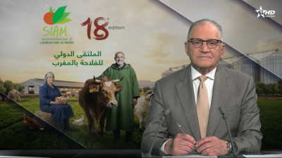 JT en Français Al Aoula du  24/04/2026