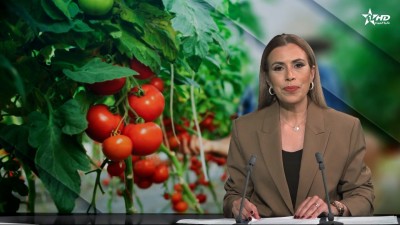 الأخبار الظهيرة الأولى 16/04/2026