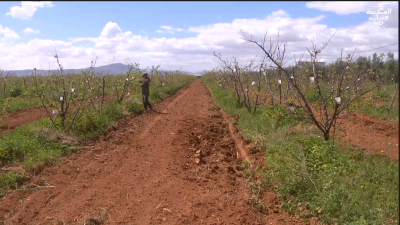 JT AL maghribia 15h du 01/04/2026