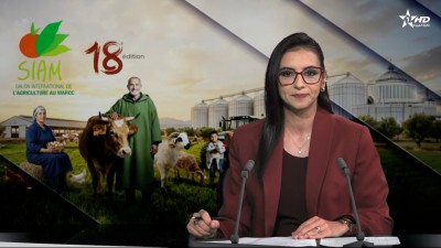 الأخبار الظهيرة الأولى 20/04/2026