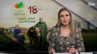 الأخبار الظهيرة الأولى 24/04/2026