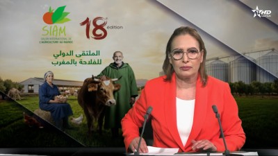 الأخبار الأمازيغية الأولى 24/04/2026