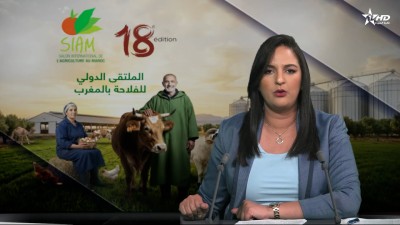 Telediario Al Aoula du 24/04/2026