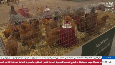 JT Al Maghribia 15h du 21/04/2026