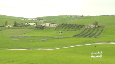 - من الجفاف إلى الازدهار : أمطار الخير تنعش الفلاحة في المغرب - تقرير المغربية