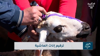  - Biouyoun Maghribia - BIOUYOUN MAGHRIBIA