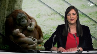 Telediario Al Aoula du 20/04/2026