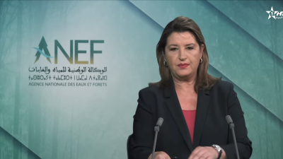 الأخبار الرئيسية الأولى 29/05/2026