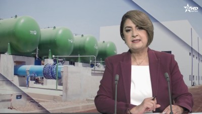 الأخبار الظهيرة الأولى 31/05/2026