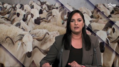 Telediario Al Aoula du 19/05/2026