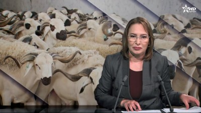 الأخبار الأمازيغية الأولى 24/05/2026