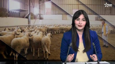 Telediario Al Aoula du 24/05/2026