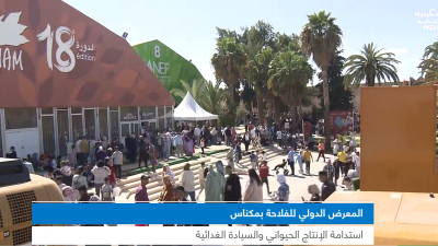 LIKA'E MAGHREBIA - LIKA'E MAGHREBIA