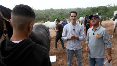 يوميات جائزة الحسن الثاني لتبوريدة - 2026 - جائزة الحسن الثاني للتبوريدة 2025‎