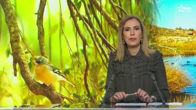 الأخبار الظهيرة الأولى 15/07/2026