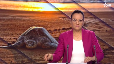 JT en Français Al Aoula du 06/09/2026